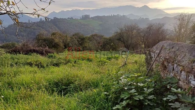 Mark till salu i Latores, Oviedo - 115 000 € (Ref: 8651503)