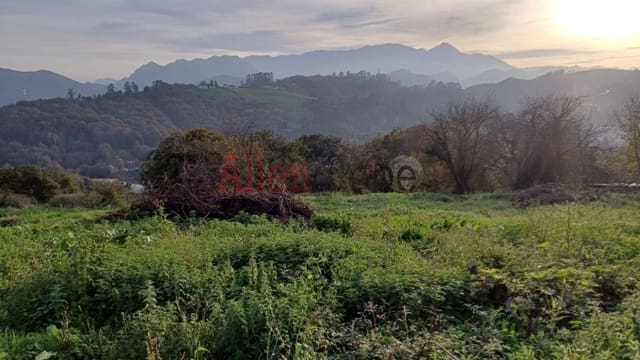 Mark till salu i Latores, Oviedo - 115 000 € (Ref: 8651503)