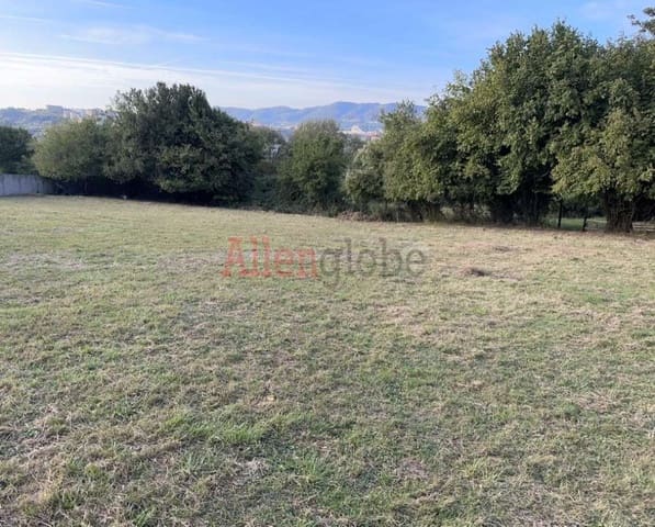 Undeveloped Land for sale in Oviedo - € 146,000 (Ref: 8677397)
