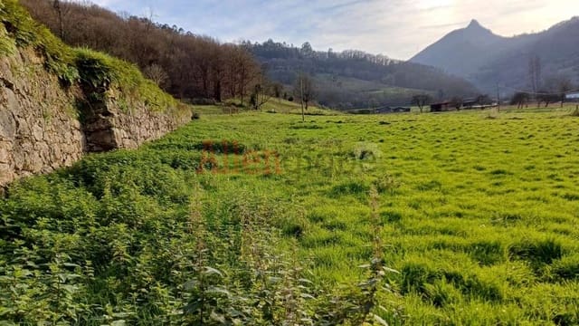 Mark till salu i Oviedo - 59 900 € (Ref: 8735087)