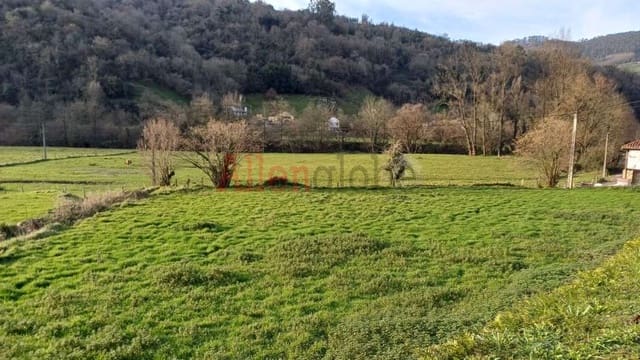 Mark till salu i Oviedo - 59 900 € (Ref: 8735087)