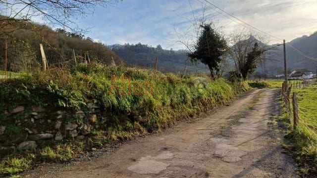 Mark till salu i Oviedo - 59 900 € (Ref: 8735087)