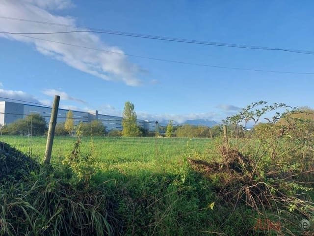 Mark till salu i Siero - 240 000 € (Ref: 9035762)