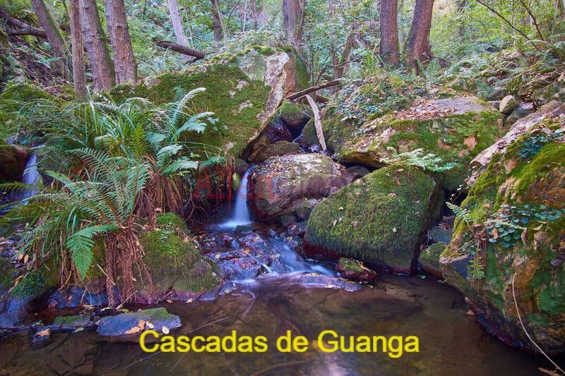 2 bedroom Semi-detached Villa for sale in Oviedo - € 50,000 (Ref: 9348628)