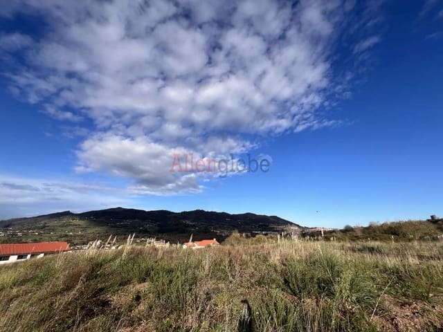 Terre non Aménagée à vendre à Oviedo - 120 000 € (Ref: 9439024)