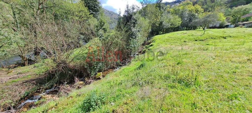 Undeveloped Land for sale in Oviedo - € 45,000 (Ref: 9769116)