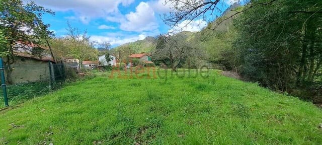 Terre non Aménagée à vendre à Oviedo - 45 000 € (Ref: 9769116)