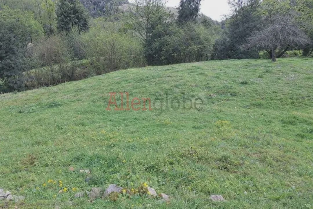 Undeveloped Land for sale in Oviedo - € 45,000 (Ref: 9769116)