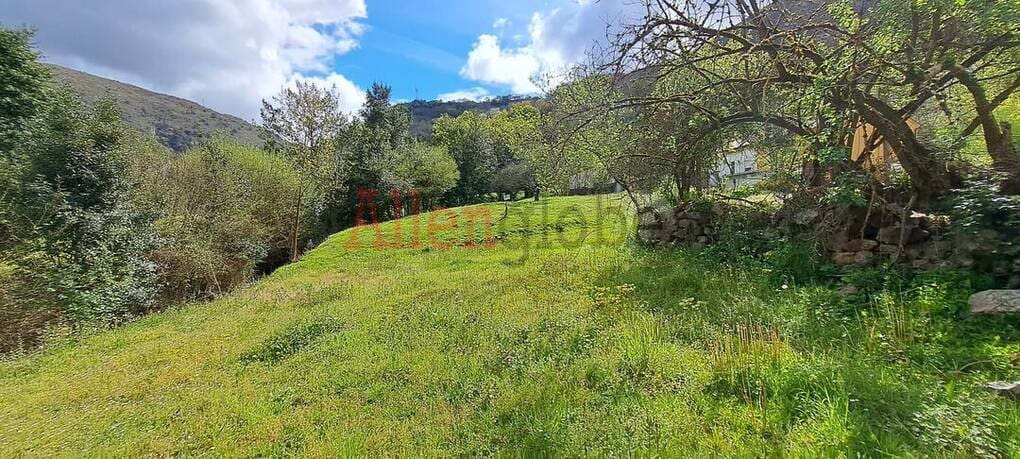 Undeveloped Land for sale in Oviedo - € 45,000 (Ref: 9769116)