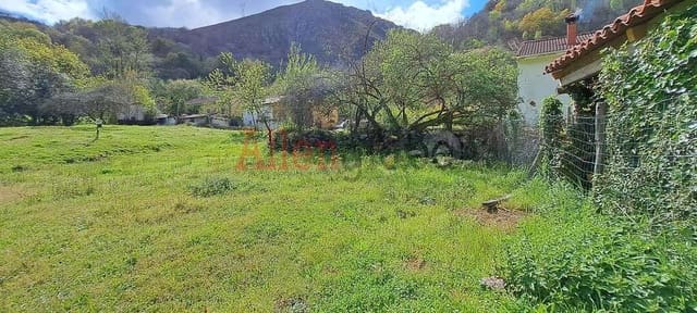 Terre non Aménagée à vendre à Oviedo - 45 000 € (Ref: 9769116)