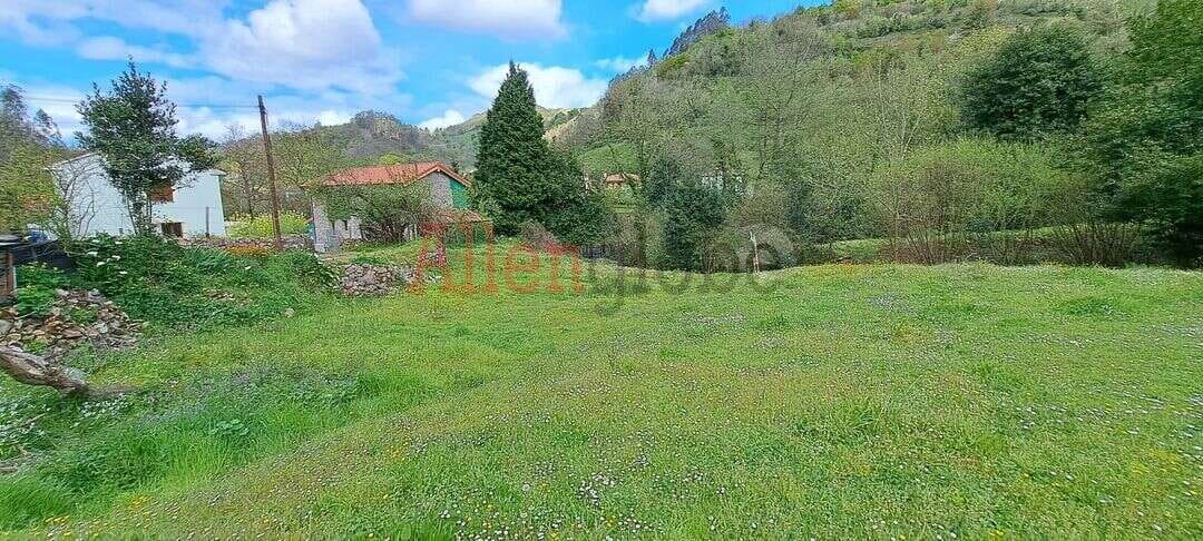Undeveloped Land for sale in Oviedo - € 45,000 (Ref: 9769116)