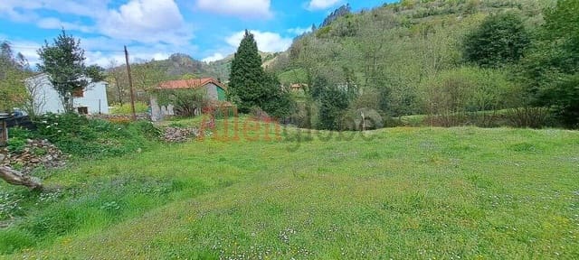 Terre non Aménagée à vendre à Oviedo - 45 000 € (Ref: 9769116)