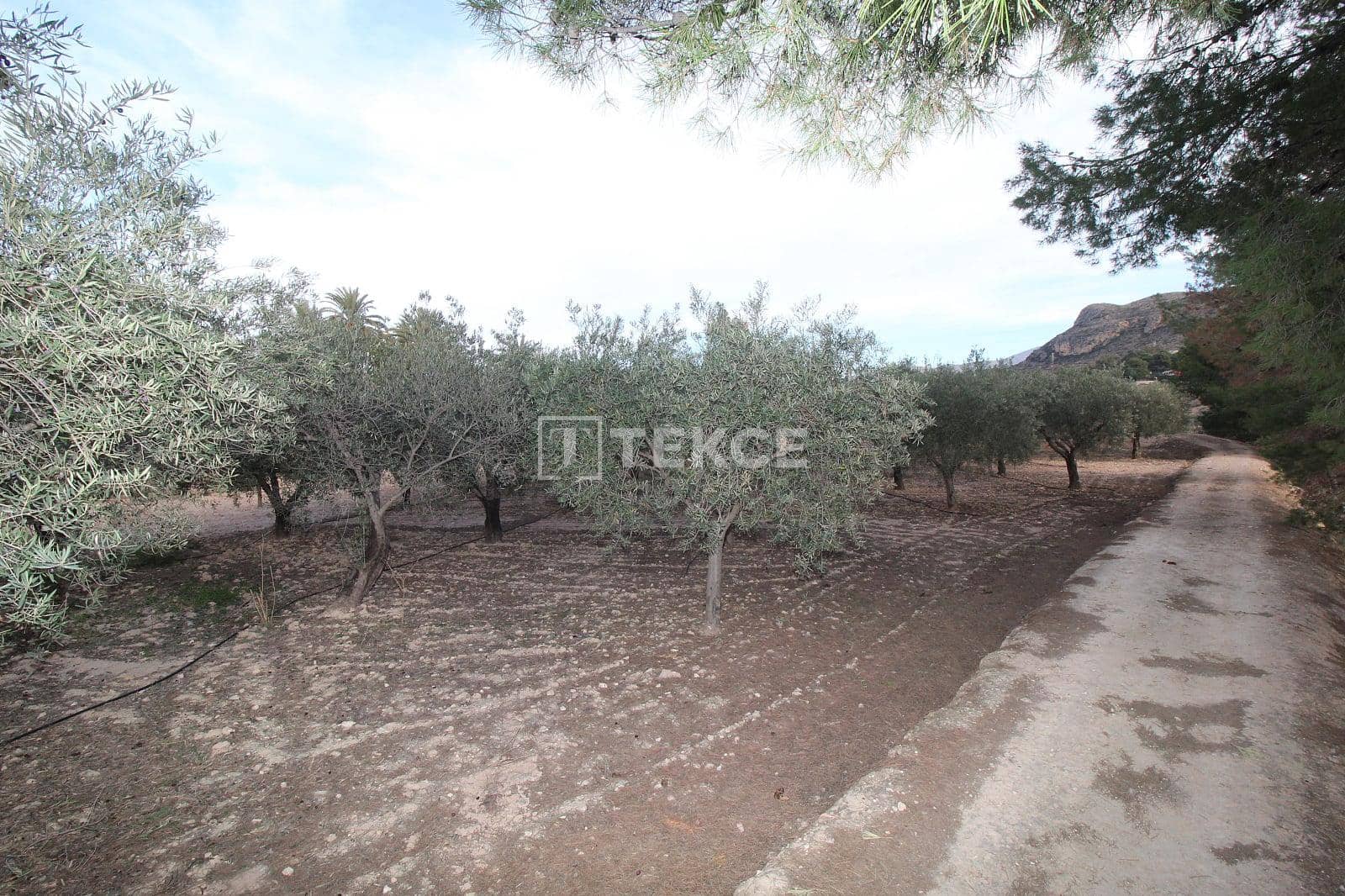 13 camera da letto Villa in vendita in Elda con piscina - 899.000 € (Rif: 10021844)