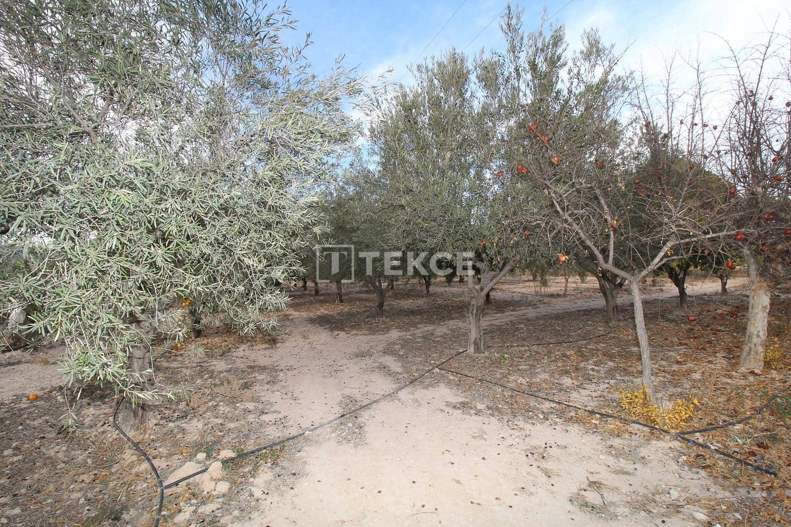 13 camera da letto Villa in vendita in Elda con piscina - 899.000 € (Rif: 10021844)