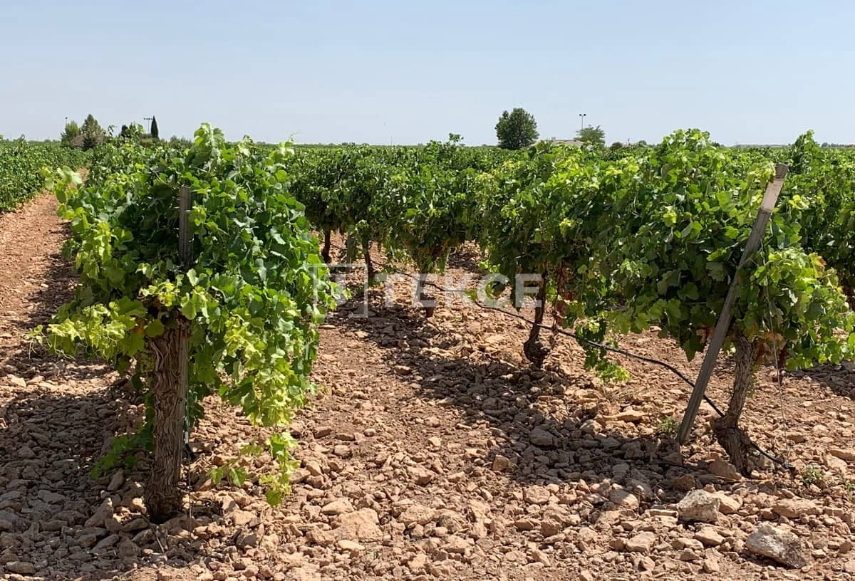 5 chambre Villa/Maison à vendre à Yecla avec piscine - 774 000 € (Ref: 8964724)