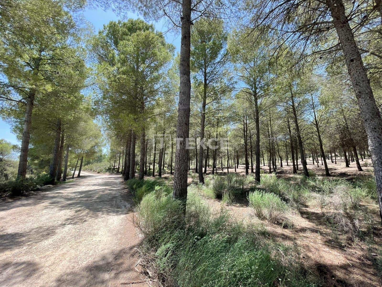 3 bedroom Villa for sale in Calasparra with pool - € 335,000 (Ref: 8964769)