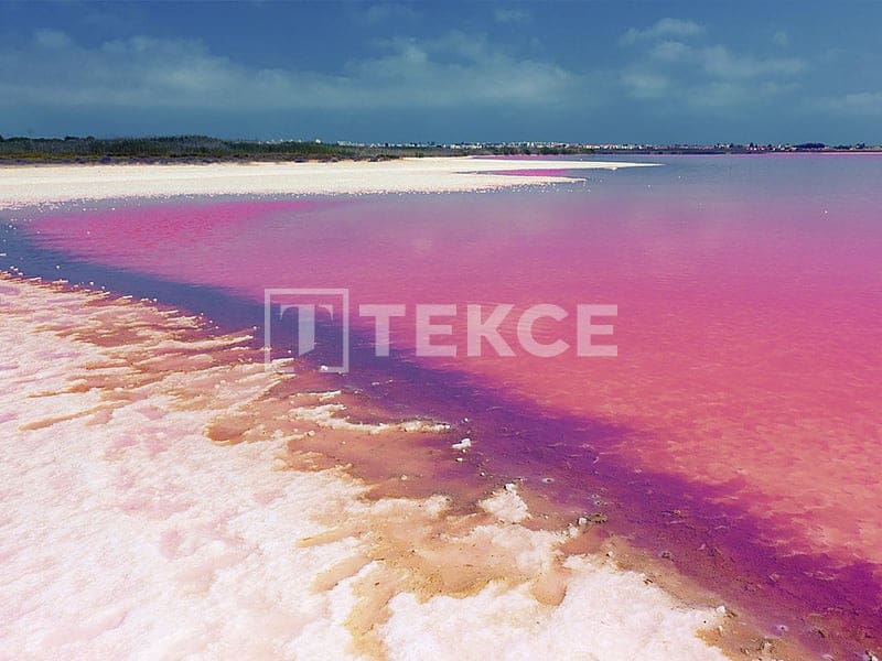 1 bedroom Flat for sale in Torrevieja with pool - € 246,000 (Ref: 8964790)