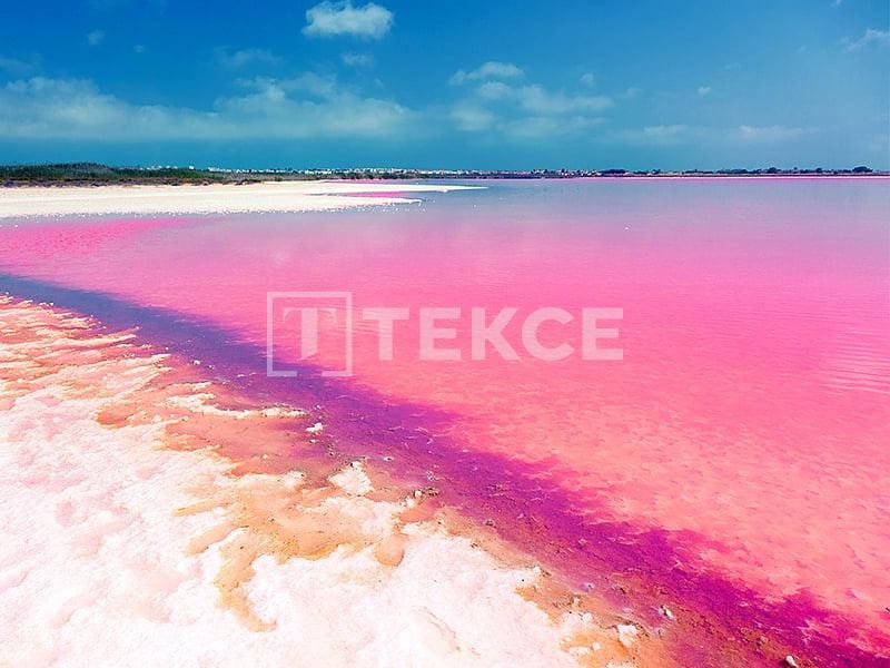 2 sypialnia Mieszkanie na sprzedaż w Torrevieja z basenem - 293 000 € (Ref: 8964794)