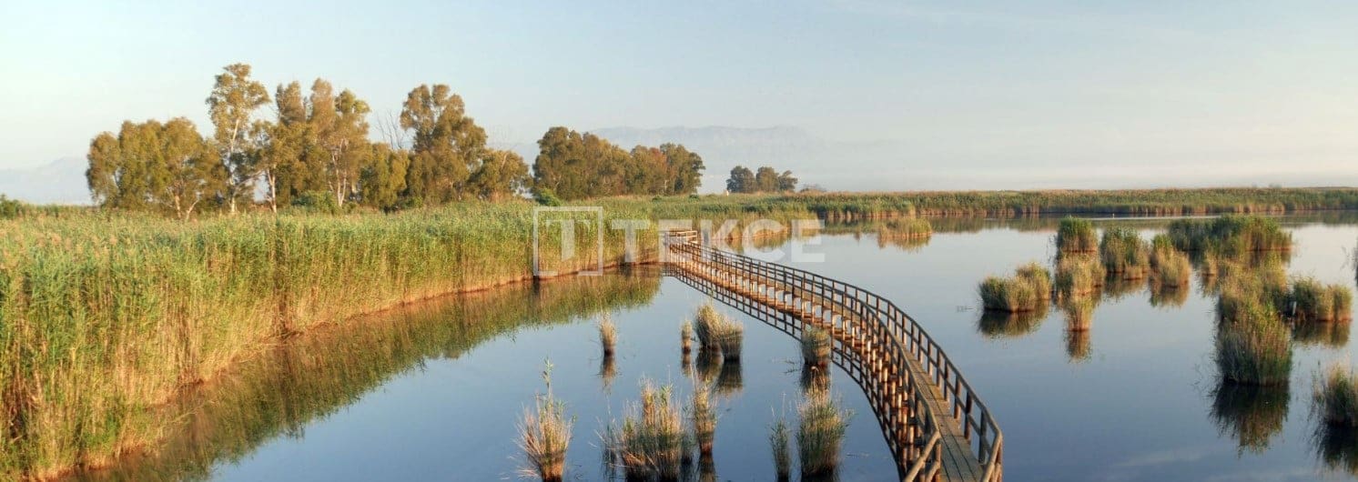 3 sypialnia Willa na sprzedaż w Monforte del Cid z basenem - 320 000 € (Ref: 8965289)