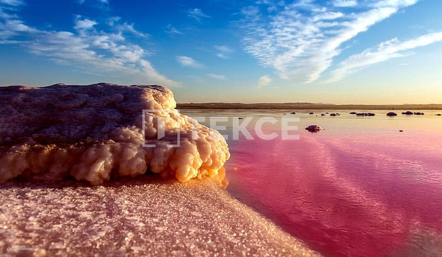 2 Zimmer Wohnung zu verkaufen in Torrevieja mit Pool - 339.000 € (Ref: 8965459)