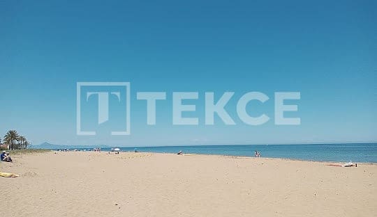 3 sypialnia Willa na sprzedaż w El Vergel / Verger z basenem - 415 000 € (Ref: 8965554)