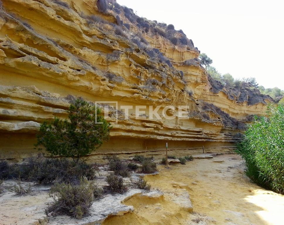 3 sypialnia Willa na sprzedaż w Pinar de Campoverde z basenem - 600 000 € (Ref: 8966050)