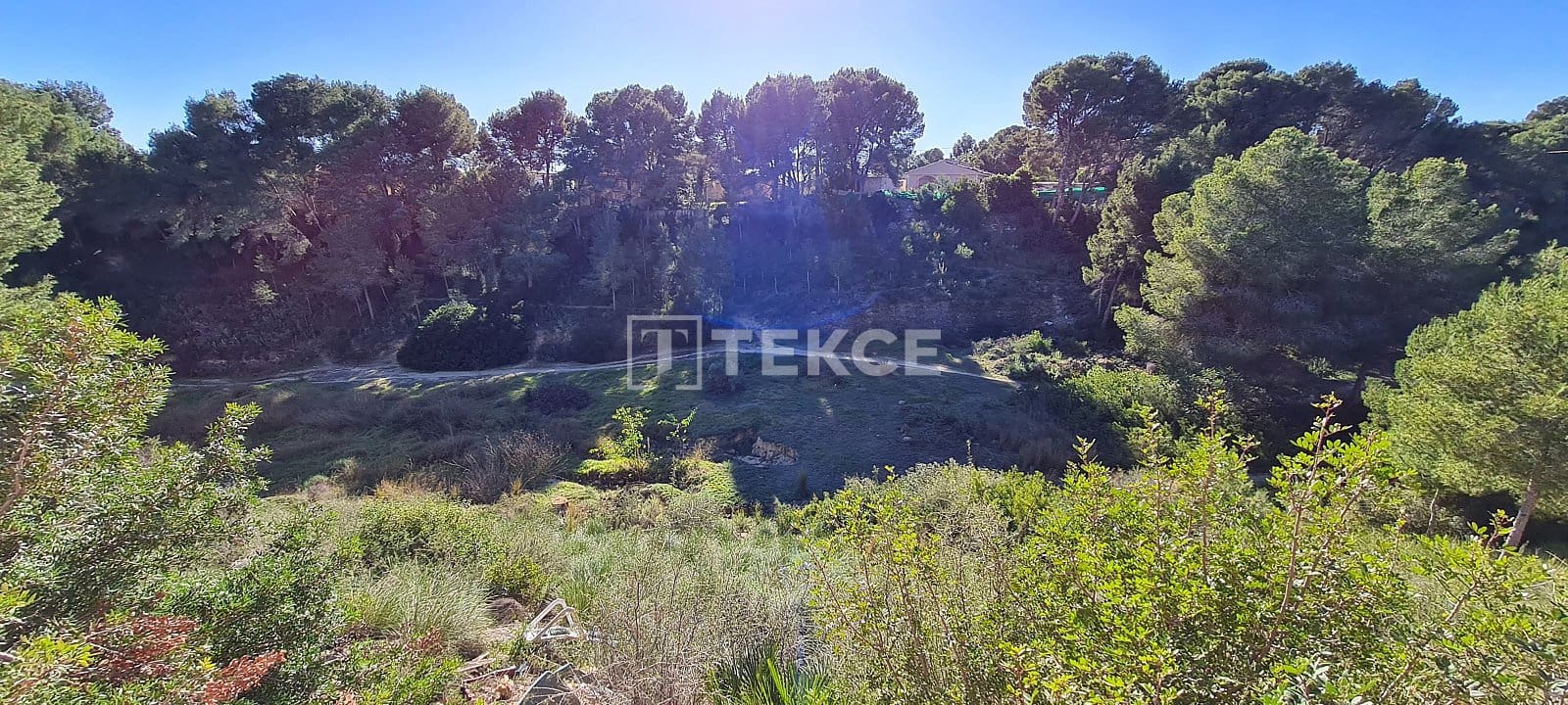 3 sypialnia Willa na sprzedaż w Pinar de Campoverde z basenem - 600 000 € (Ref: 8966050)