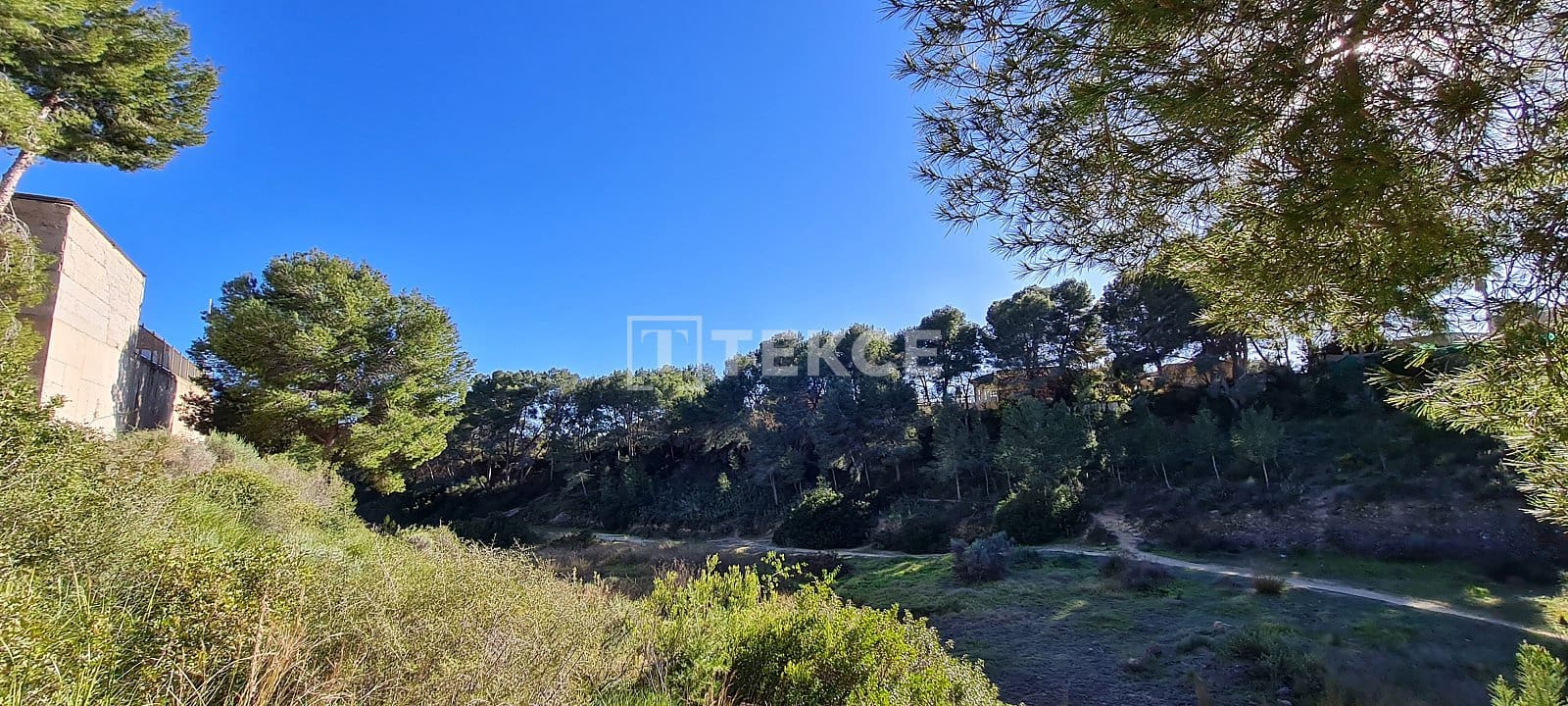 3 sypialnia Willa na sprzedaż w Pinar de Campoverde z basenem - 600 000 € (Ref: 8966050)