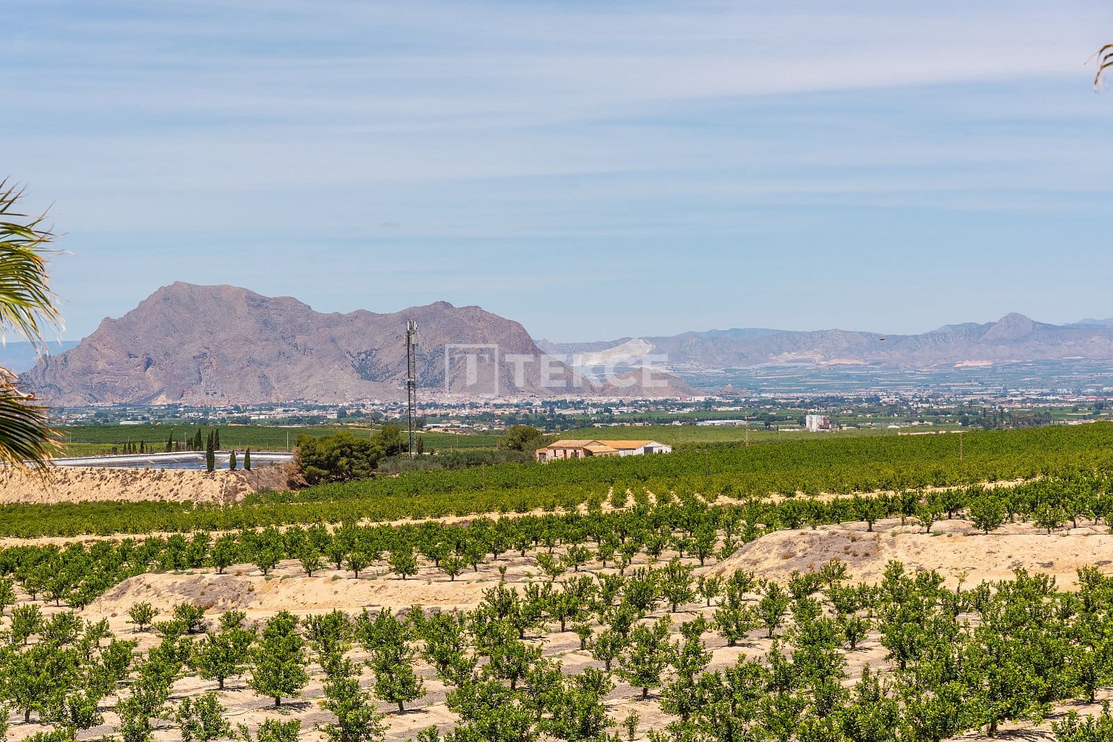 Chalet de 3 habitaciones en Algorfa en venta con piscina - 445.000 € (Ref: 8967818)