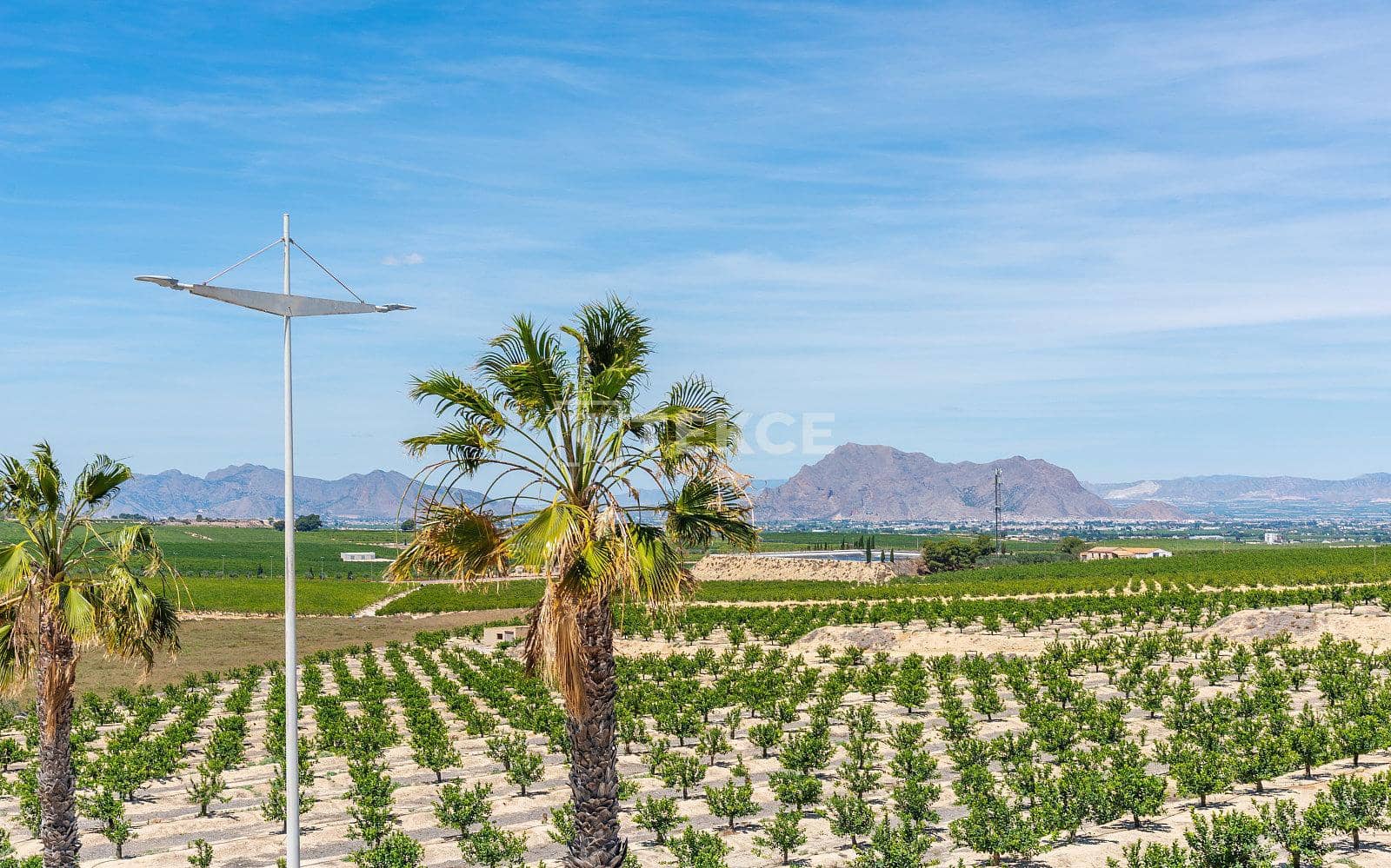 Chalet de 3 habitaciones en Algorfa en venta con piscina - 445.000 € (Ref: 8967818)