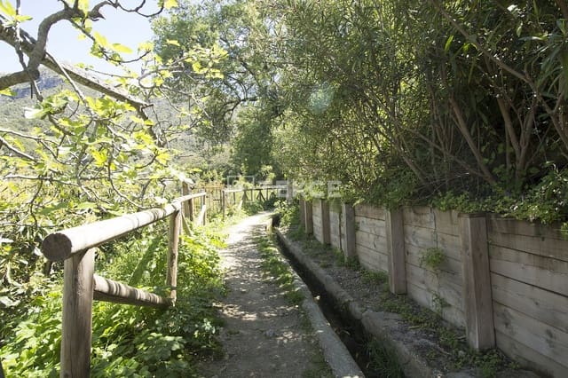 5 sypialnia Mieszkanie na sprzedaż w Istán - 290 000 € (Ref: 8971663)