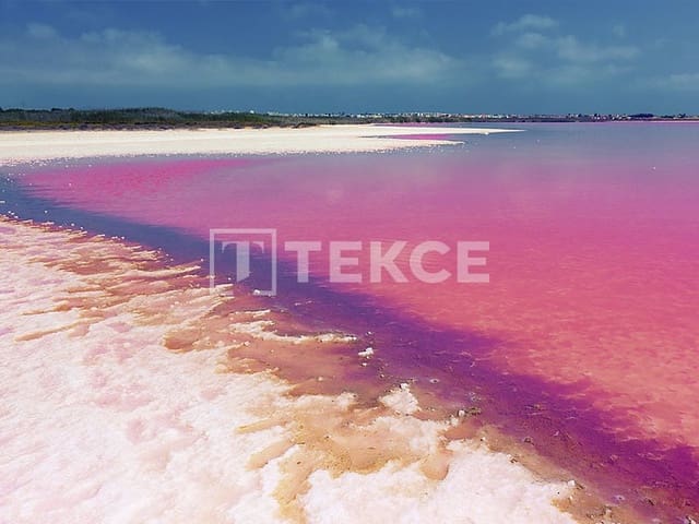 3 Zimmer Villa zu verkaufen in Torrevieja mit Pool - 630.000 € (Ref: 8971671)