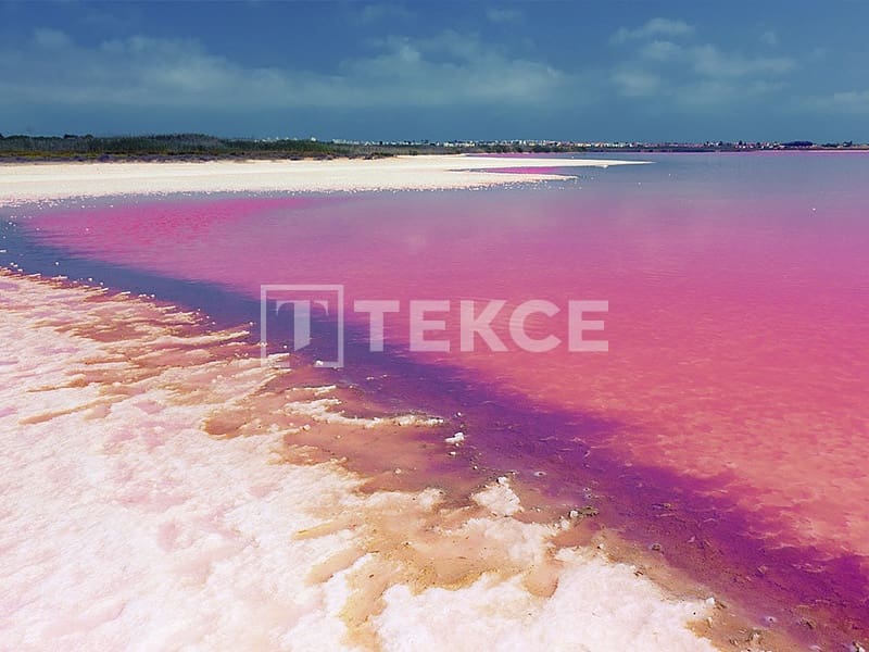 Piso de 3 habitaciones en Torrevieja en venta con piscina - 389.000 € (Ref: 9262093)