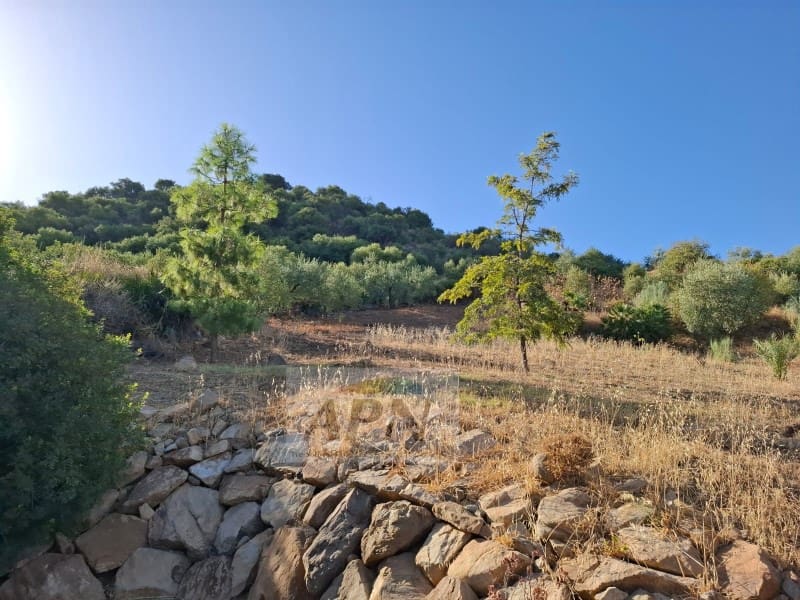 2 sypialnia Finka/Dom wiejski do wynajęcia w Alora - 850 € (Ref: 10042728)