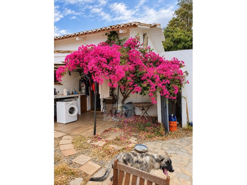 6 quarto Quinta/Casa Rural para venda em Alora - 480 000 € (Ref: 10081111)