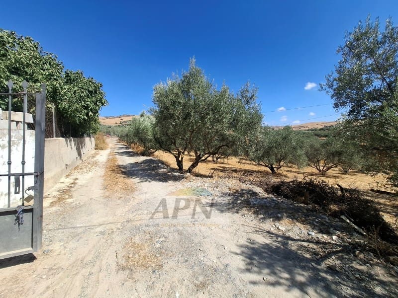 3 camera da letto Finca/Casa di Campagna in vendita in Alora - 180.000 € (Rif: 10115647)