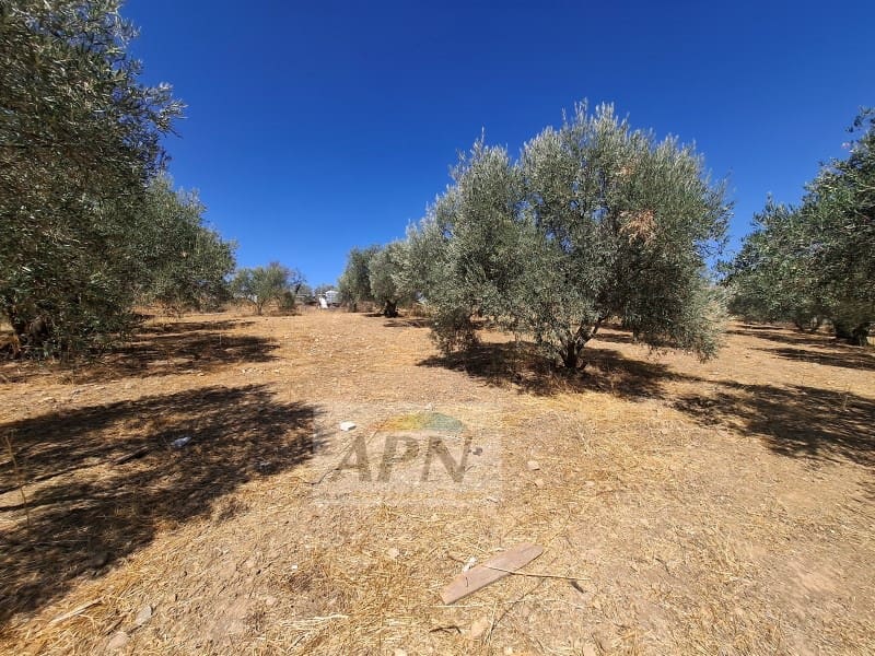 3 camera da letto Finca/Casa di Campagna in vendita in Alora - 180.000 € (Rif: 10115647)