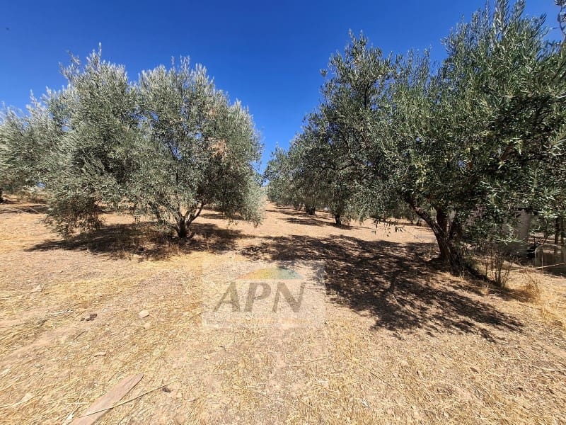 3 camera da letto Finca/Casa di Campagna in vendita in Alora - 180.000 € (Rif: 10115647)