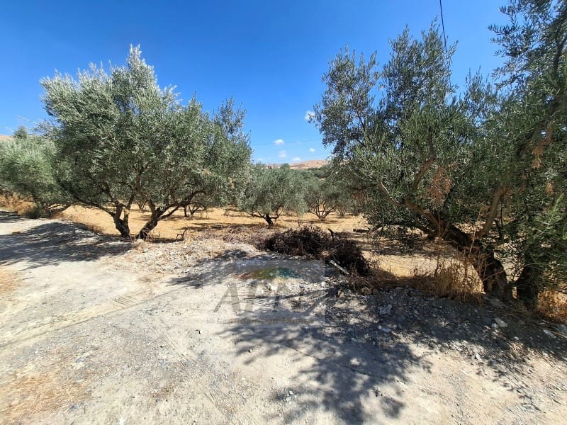 3 camera da letto Finca/Casa di Campagna in vendita in Alora - 180.000 € (Rif: 10115647)