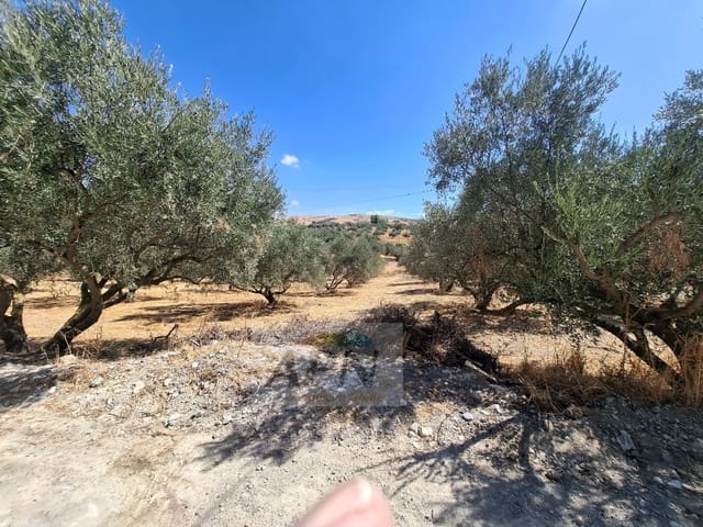 3 camera da letto Finca/Casa di Campagna in vendita in Alora - 180.000 € (Rif: 10115647)
