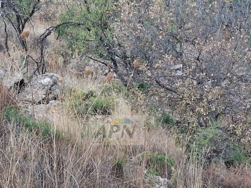 Finca/Casa Rural de 2 habitaciones en Valle de Abdalajís en venta - 245.000 € (Ref: 10131436)