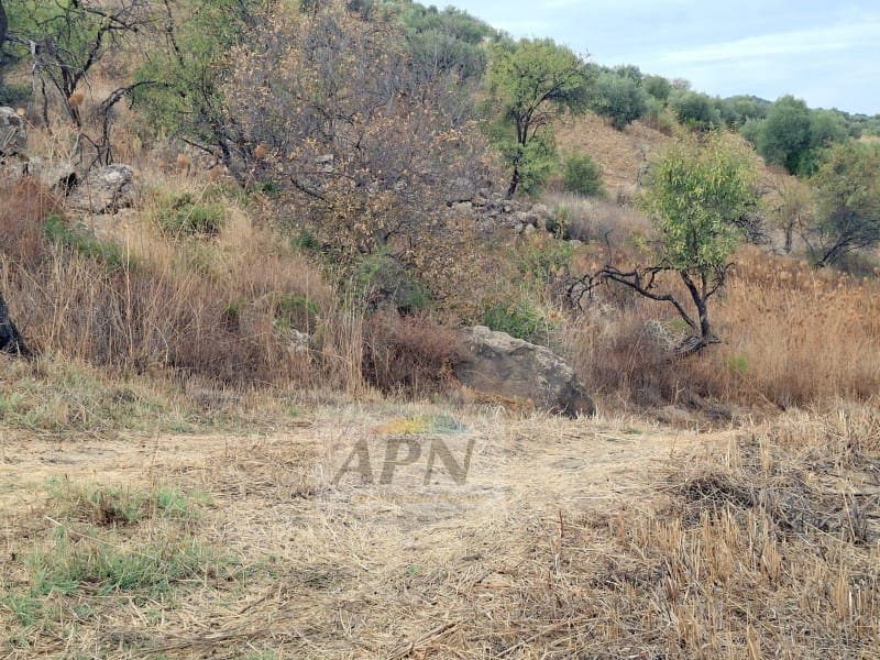 Finca/Casa Rural de 2 habitaciones en Valle de Abdalajís en venta - 245.000 € (Ref: 10131436)