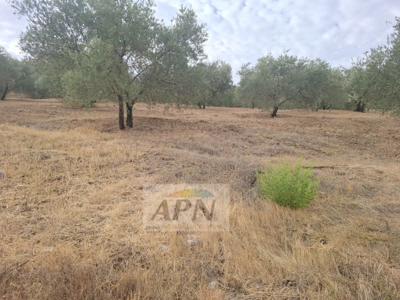 Finca/Casa Rural de 2 habitaciones en Valle de Abdalajís en venta - 245.000 € (Ref: 10131436)