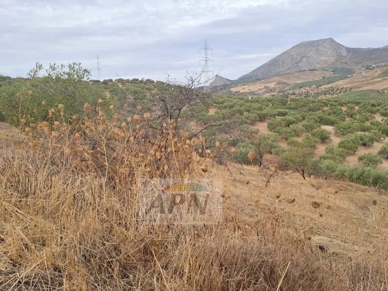 Finca/Casa Rural de 2 habitaciones en Valle de Abdalajís en venta - 245.000 € (Ref: 10131436)
