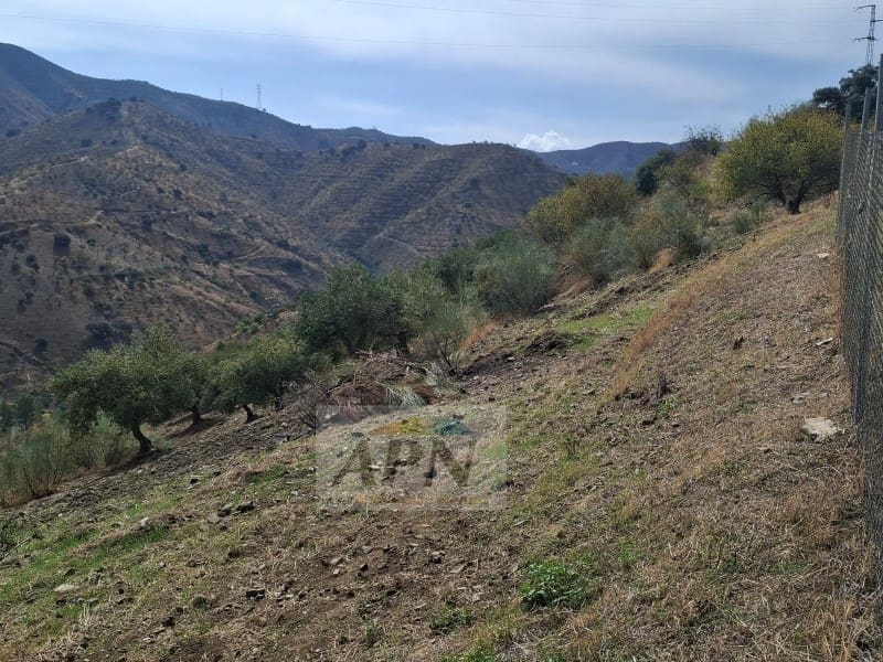 3 chambre Finca/Maison de Campagne à vendre à Alora avec piscine - 315 000 € (Ref: 10157638)