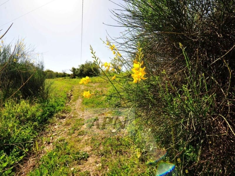 5 soverom Finca/Herregård til salgs i Alora med svømmebasseng - € 1 500 000 (Ref: 1722852)