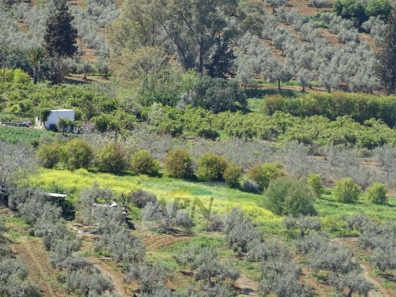 1 Zimmer Finca/Landgut zu verkaufen in Pizarra - 160.000 € (Ref: 7301787)