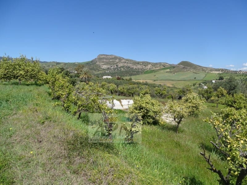 1 Zimmer Finca/Landgut zu verkaufen in Pizarra - 160.000 € (Ref: 7301787)