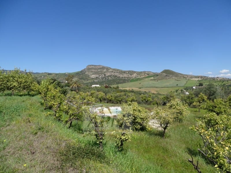 1 Zimmer Finca/Landgut zu verkaufen in Pizarra - 160.000 € (Ref: 7301787)