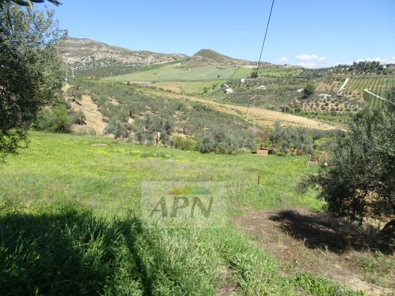 1 Zimmer Finca/Landgut zu verkaufen in Pizarra - 160.000 € (Ref: 7301787)